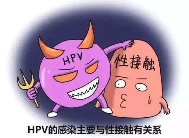 人乳头瘤病毒hpv感染诊治专家共识