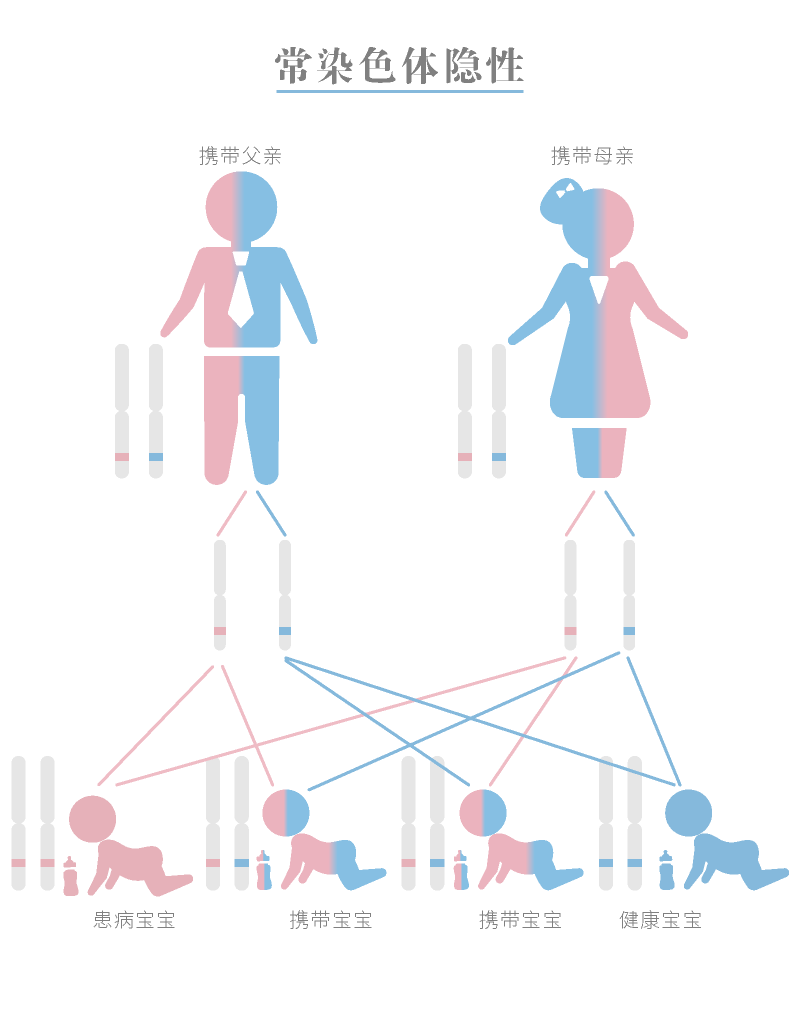 常染色体隐性遗传