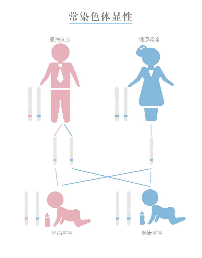 强直性肌营养不良常染色体显性