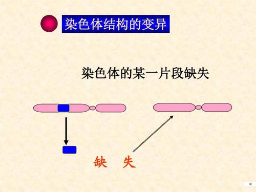 1q21.1微缺失综合征