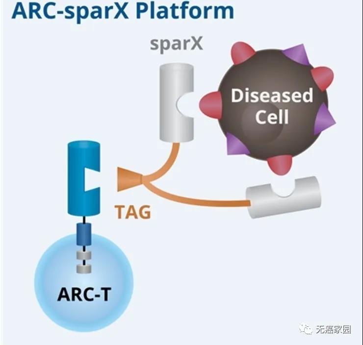 ARC-T 平台