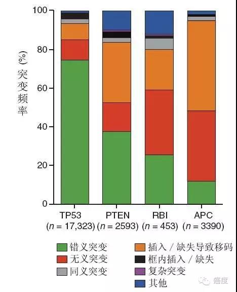 基因TP53如何抑癌？一文解读