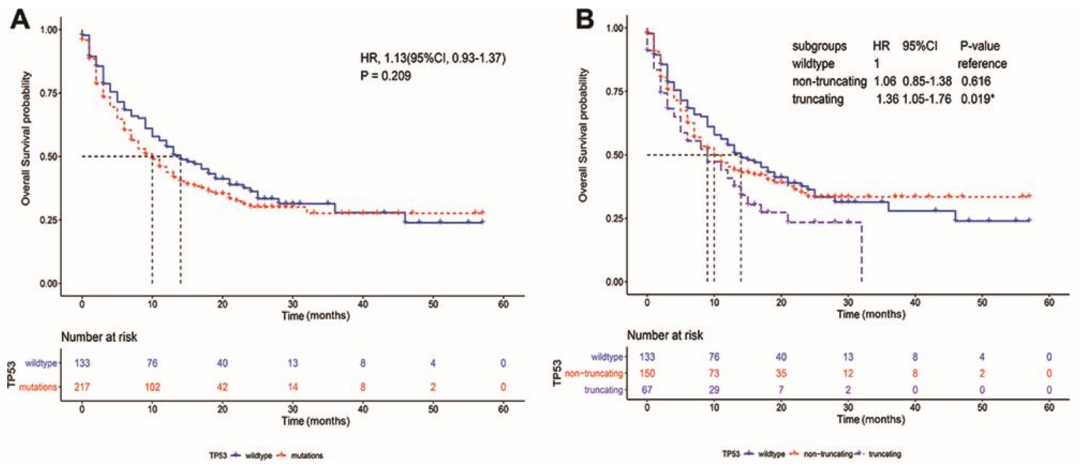 TP53截断突变影响肺癌免疫治疗患者预后