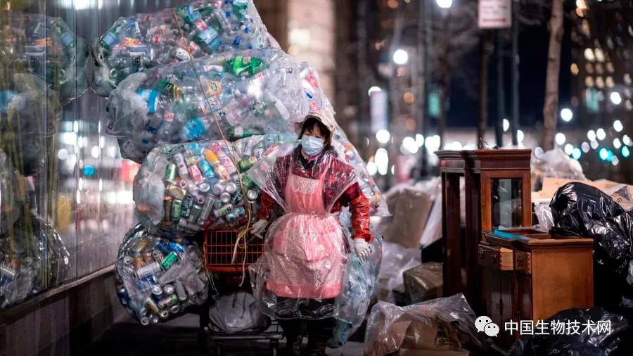 已进入食物链的塑料，正在杀死越来越多的生物...