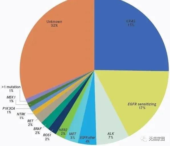 国药崛起！肺癌靶向治疗又出5款猛药！全面覆盖4大靶点！