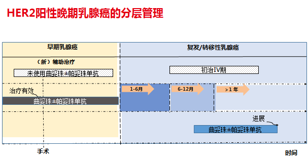 严颖教授  晚期乳腺癌抗HER2合理分层治疗