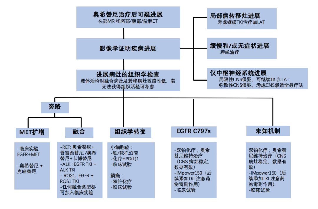 ​奥希替尼一线治疗EGFR突变NSCLC后进展的应对策略，打破耐药窘境