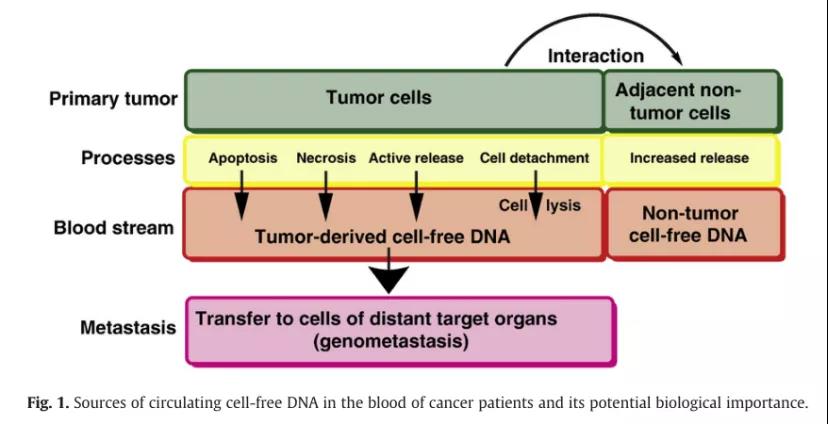 李曼教授 大浪淘沙沉者为金   cfDNA能否经受重重考验最终走向临床？