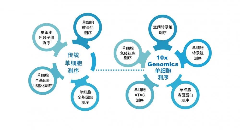 测序几个细胞发一篇SCI？卵母细胞研究了解一下~