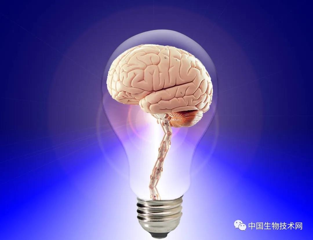 中年痴呆症？牛津新研究：高血压和糖尿病会改变中年人脑结构，削弱思维速度和记忆力