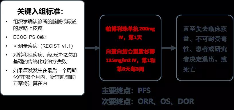 一文讀懂免疫檢查點抑制劑在晚期尿路上皮癌中的應用現狀與發展方向 -