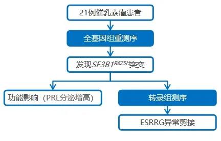 多组学研究解密催乳素瘤的致病机制