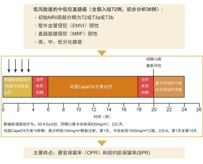 从北肿R系列研究看局部进展期直肠癌新辅助治疗模式