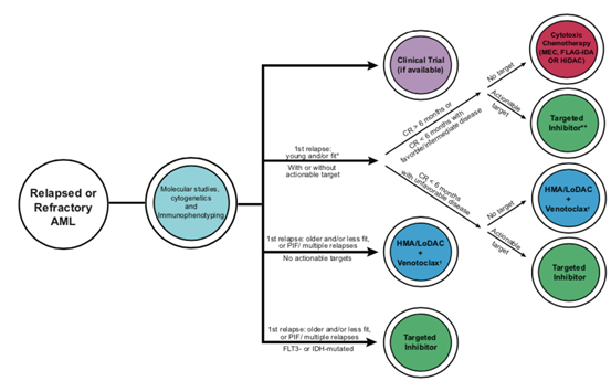 面对老年R/R AML患者却束手无策？教你几招 理清诊疗思路！