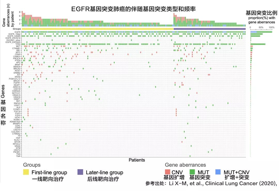 警惕：TP53基因的4和7号外显子突变可能会影响靶向治疗的效果