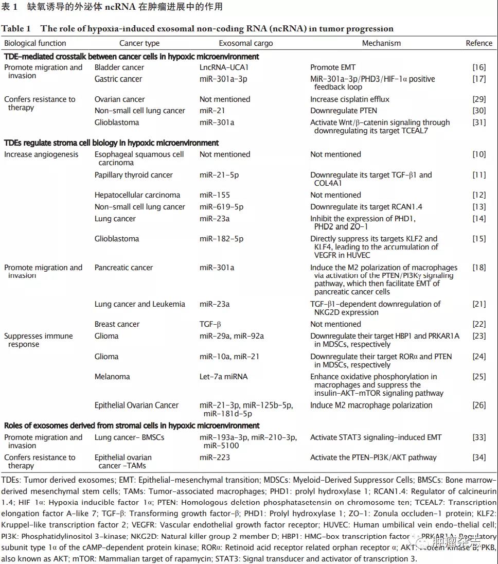 缺氧诱导的外泌体非编码RNA在肿瘤进展中的作用
