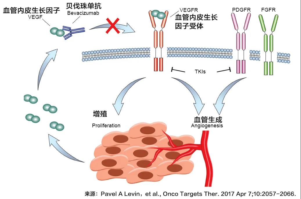 A+T联合治疗OS结果尘埃落定 有惊有喜该怎么选