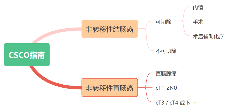 非转移性结直肠癌治疗的指南推荐