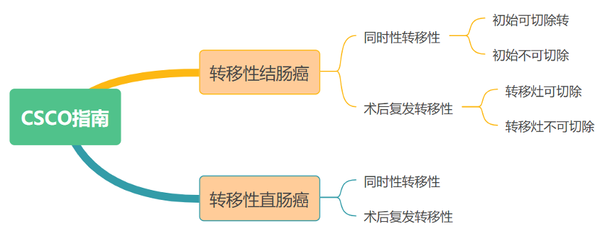 转移性结直肠癌治疗的指南推荐