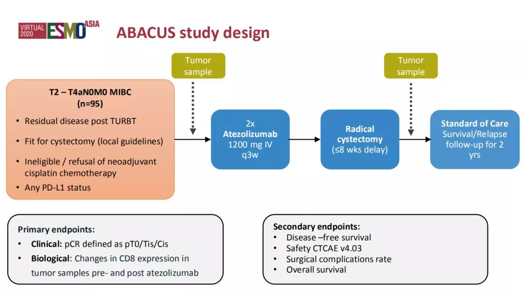 朱一平教授：ABACUS最终分析结果公布——“新免”同行未来可期