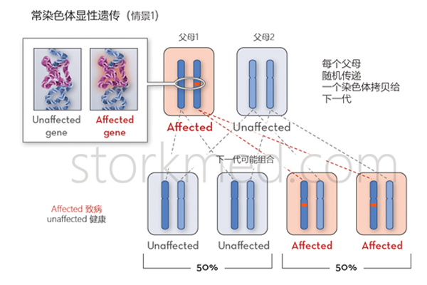 15q24微缺失综合征