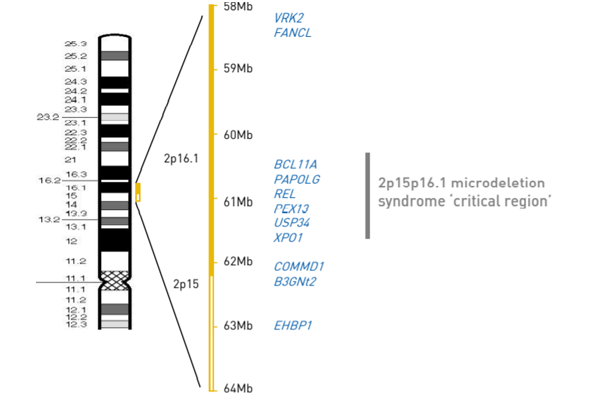 2p15-16.1微缺失综合征