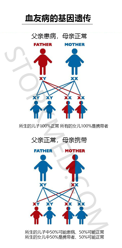 血友病的遗传方式