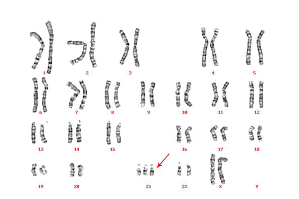 21三体的原因