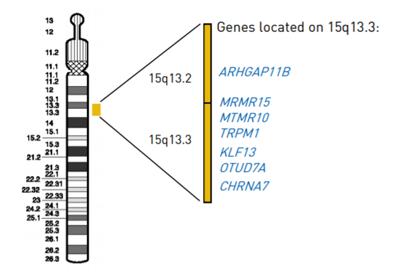 15q13.3微缺失综合